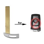 BMW Emergency key