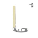 BMW Emergency key