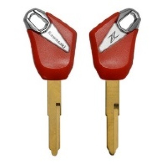 Kawasaki Moto key shell